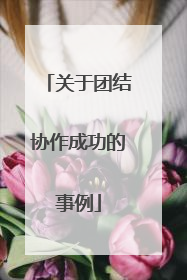 关于团结协作成功的事例