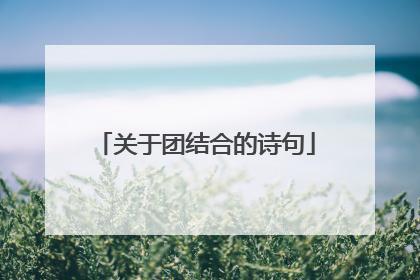 关于团结合的诗句