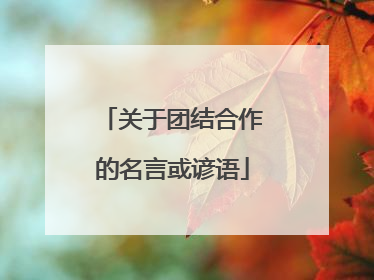 关于团结合作的名言或谚语