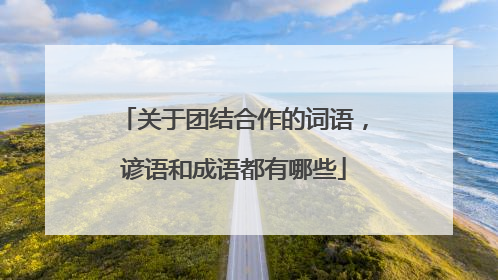 关于团结合作的词语,谚语和成语都有哪些