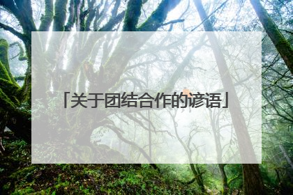 关于团结合作的谚语