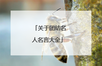 关于团结名人名言大全