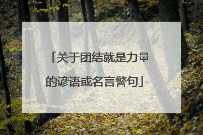 关于团结就是力量的谚语或名言警句