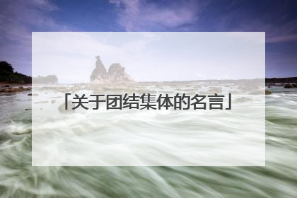 关于团结集体的名言