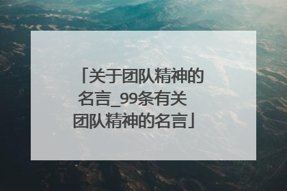 关于团队精神的名言_99条有关团队精神的名言