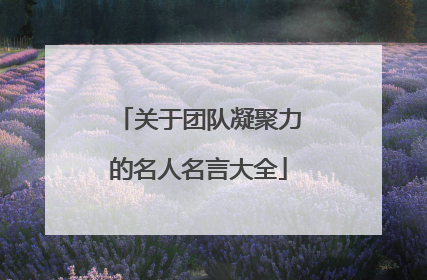 关于团队凝聚力的名人名言大全