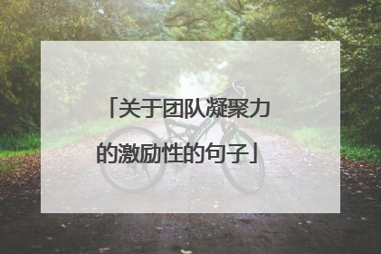 关于团队凝聚力的激励性的句子
