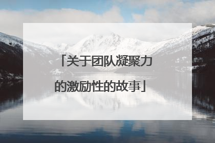 关于团队凝聚力的激励性的故事