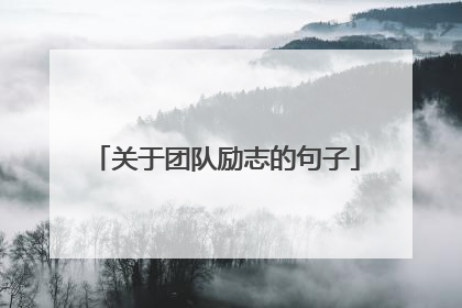关于团队励志的句子