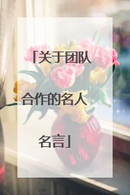 关于团队合作的名人名言