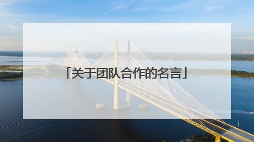 关于团队合作的名言