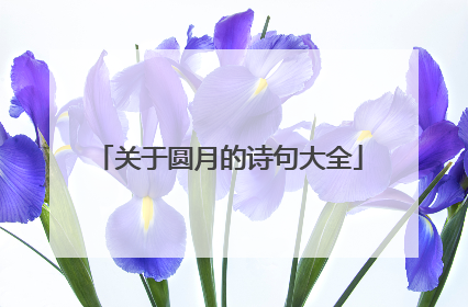 关于圆月的诗句大全
