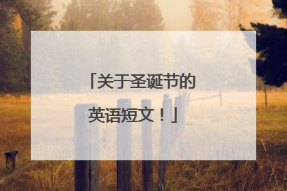 关于圣诞节的英语短文！
