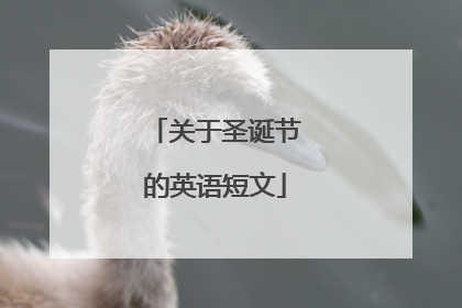 关于圣诞节的英语短文