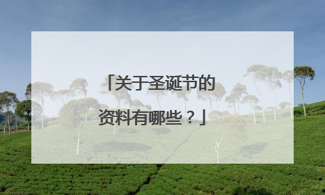 关于圣诞节的资料有哪些？