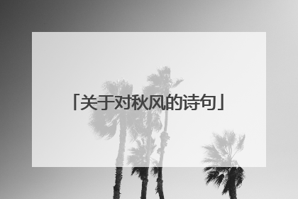关于对秋风的诗句