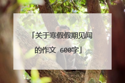 关于寒假假期见闻的作文 600字