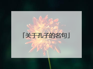 关于孔子的名句