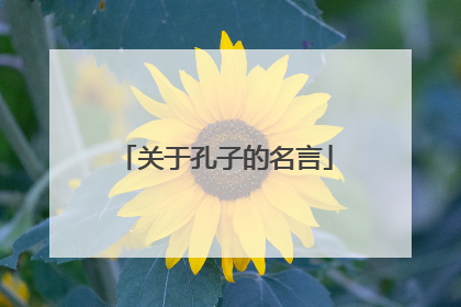 关于孔子的名言