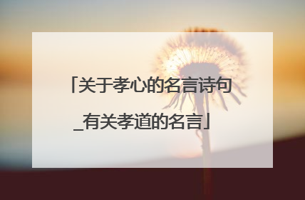 关于孝心的名言诗句_有关孝道的名言