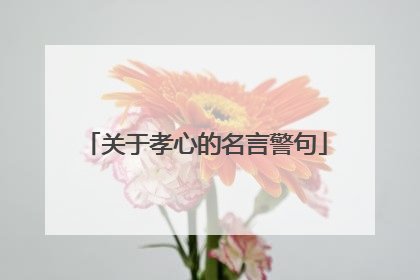 关于孝心的名言警句