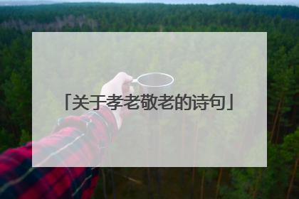 关于孝老敬老的诗句