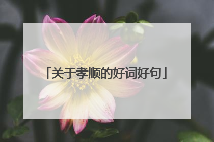 关于孝顺的好词好句