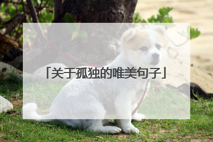 关于孤独的唯美句子