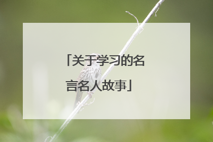 关于学习的名言名人故事
