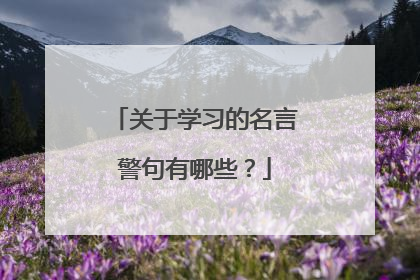 关于学习的名言警句有哪些?