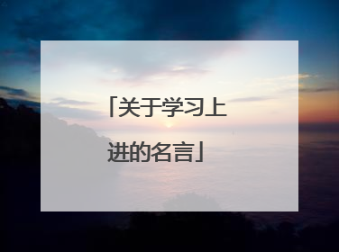 关于学习上进的名言