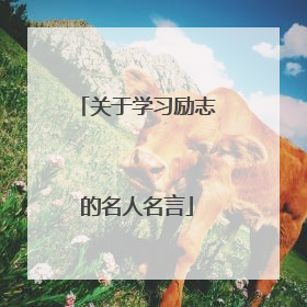 关于学习励志的名人名言