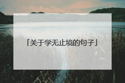关于学无止境的句子