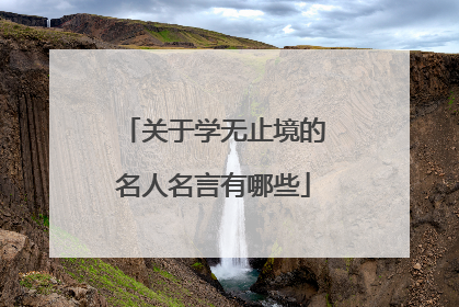 关于学无止境的名人名言有哪些