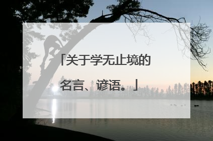 关于学无止境的名言、谚语。