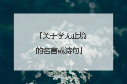 关于学无止境的名言或诗句