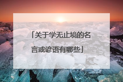 关于学无止境的名言或谚语有哪些