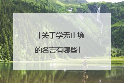 关于学无止境的名言有哪些