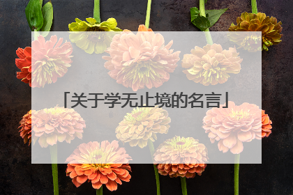关于学无止境的名言