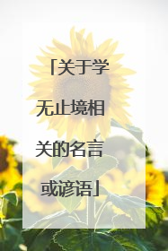 关于学无止境相关的名言或谚语