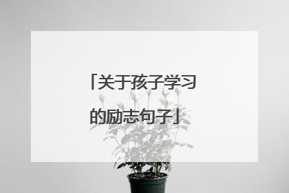关于孩子学习的励志句子