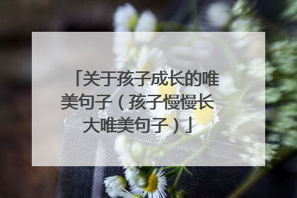 关于孩子成长的唯美句子(孩子慢慢长大唯美句子)