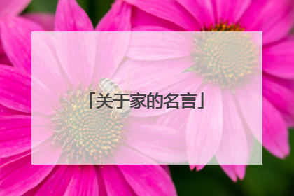 关于家的名言