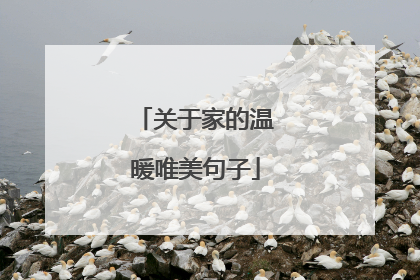 关于家的温暖唯美句子