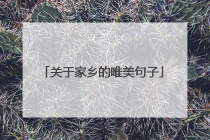 关于家乡的唯美句子