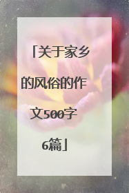 关于家乡的风俗的作文500字6篇