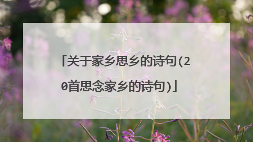 关于家乡思乡的诗句(20首思念家乡的诗句)