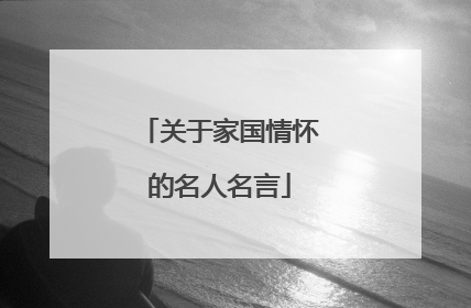 关于家国情怀的名人名言