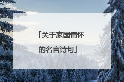 关于家国情怀的名言诗句