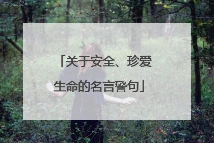 关于安全、珍爱生命的名言警句